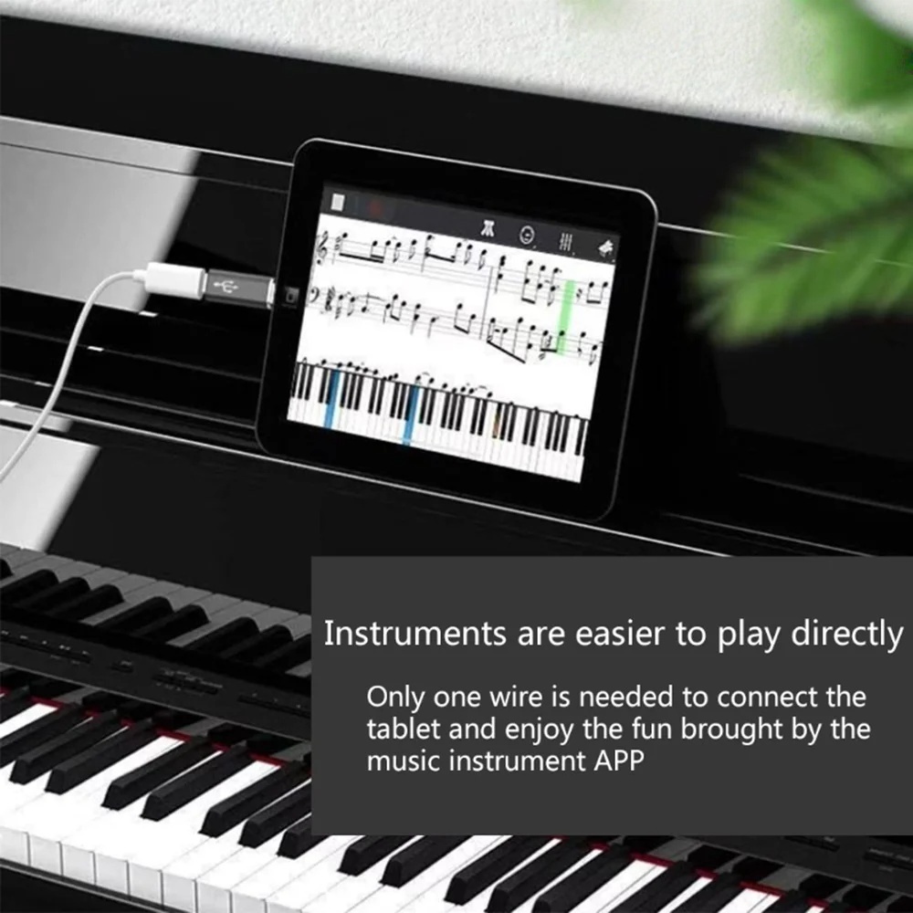 USB B Male to USB Type C Femal - Midi Controller Pad 评论和价格